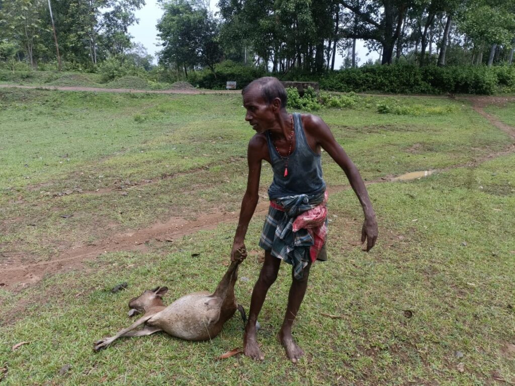 बोड़ाम में कुत्ते के हमले से एक बकरी की मौत