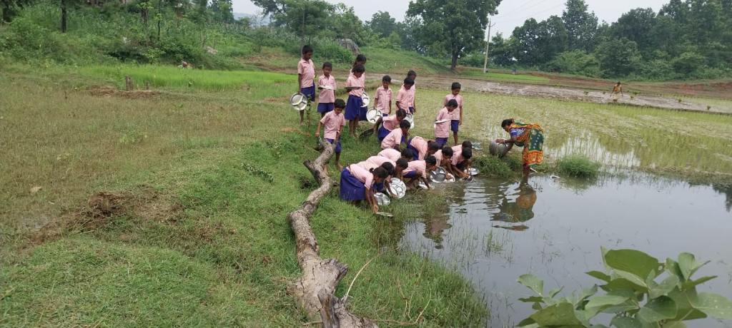 राजाबासा प्राथमिक विद्यालय में पेयजल संकट, डोभा के पानी में बर्तन धोने को मजबूर बच्चे