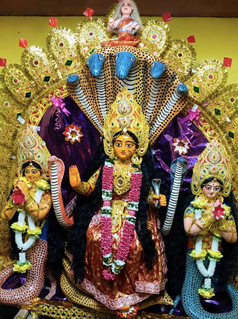 बारिश के बावजूद पटमदा-बोड़ाम में हर्षोल्लास से पूजी गईं मां मनसा, 300 से 1300 रुपए में बिकी बत्तख
